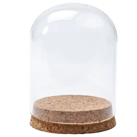 Clear Glass Cloche Dome for Tabletop Plant Displays Succulent Gardens and Botanical Art Projects with Wooden Cork Support