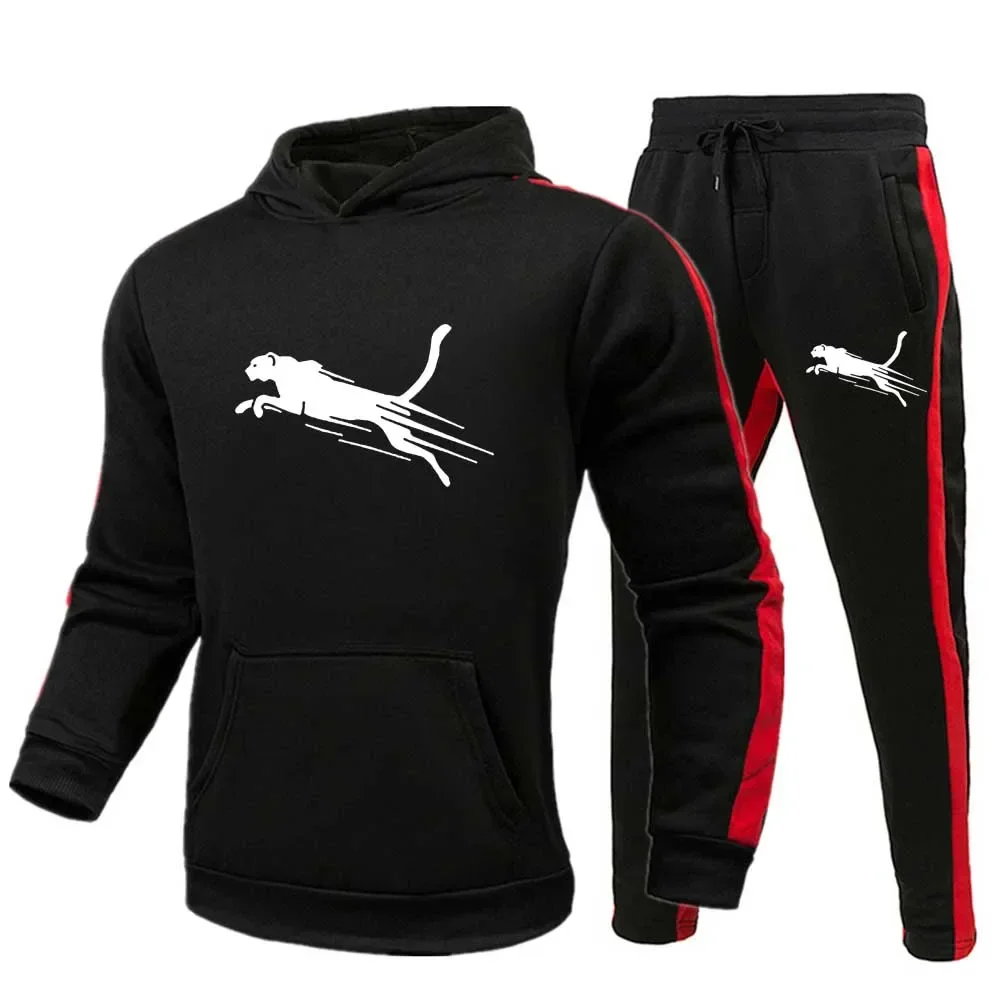 

Men's Spring and Autumn Casual Fashion 2-Piece Set with Hoodie and Sweatpants