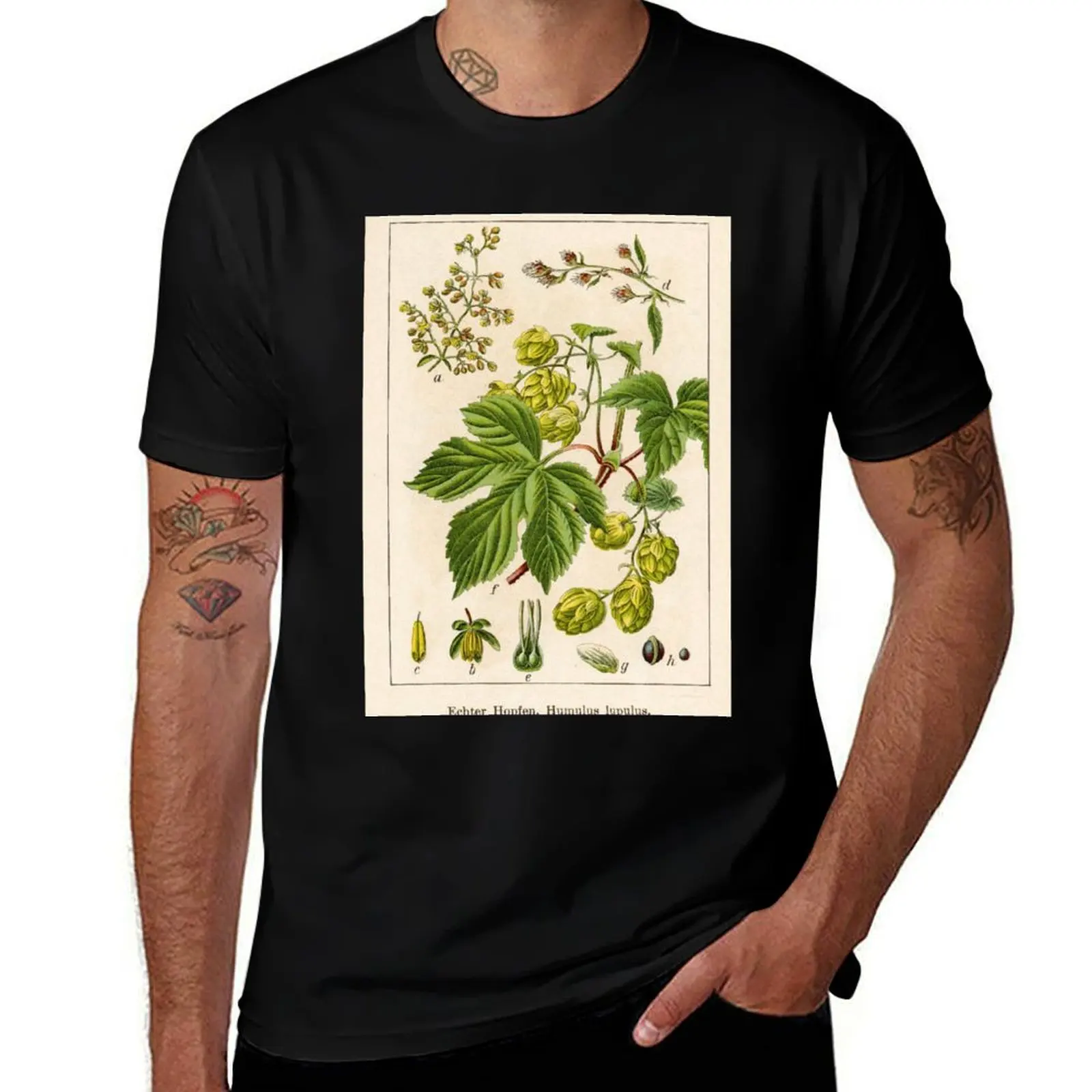 

Vintage German botanical illustration - Humulus lupulus (hop) T-Shirt