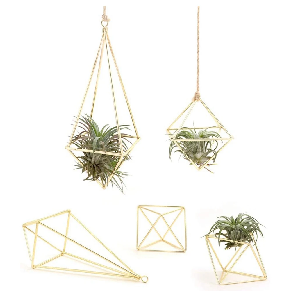 

Air Plant Holder 5 Packs Metal Decor Modern Geometric Hanger Hanging Air Plants Planter Tabletop Display Rack