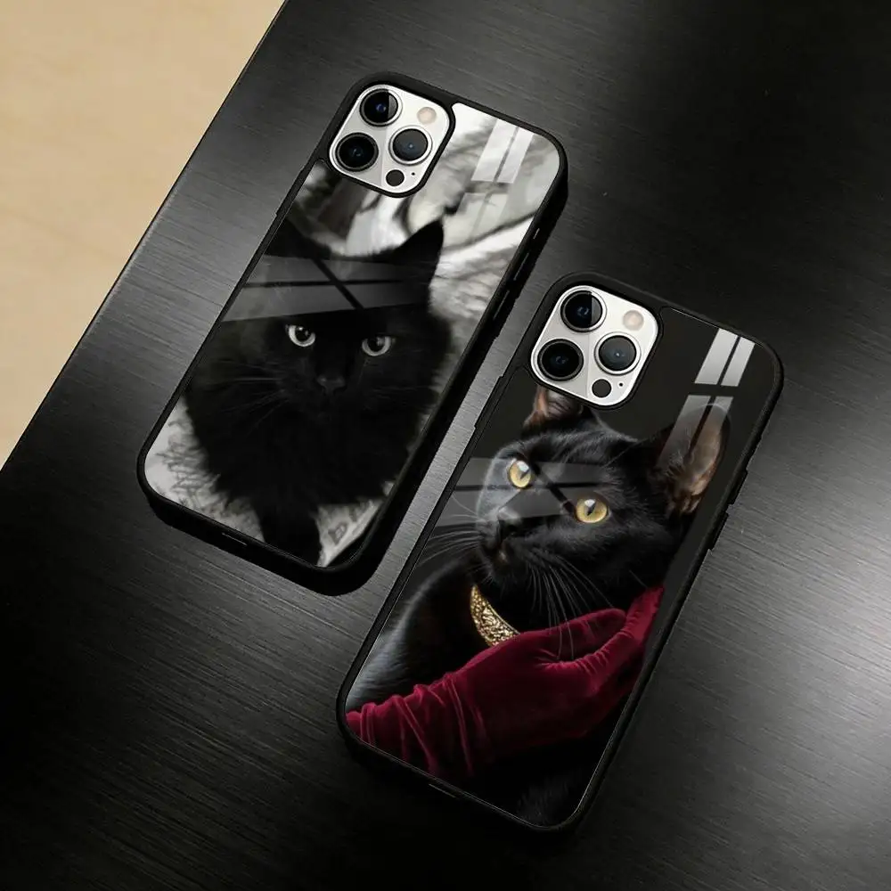 

B-Black C-Cat Phone Case For iPhone 17/16/15/14/13/12/Plus/Pro/Max for Magnetic Wireless Charging
