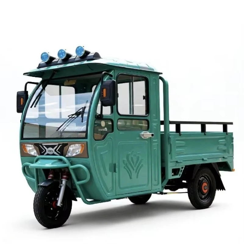 Light Electric Cargo Trike 48V 600W 150kg Box For Small Business Delivery Market Vendor Transport Customized view 4