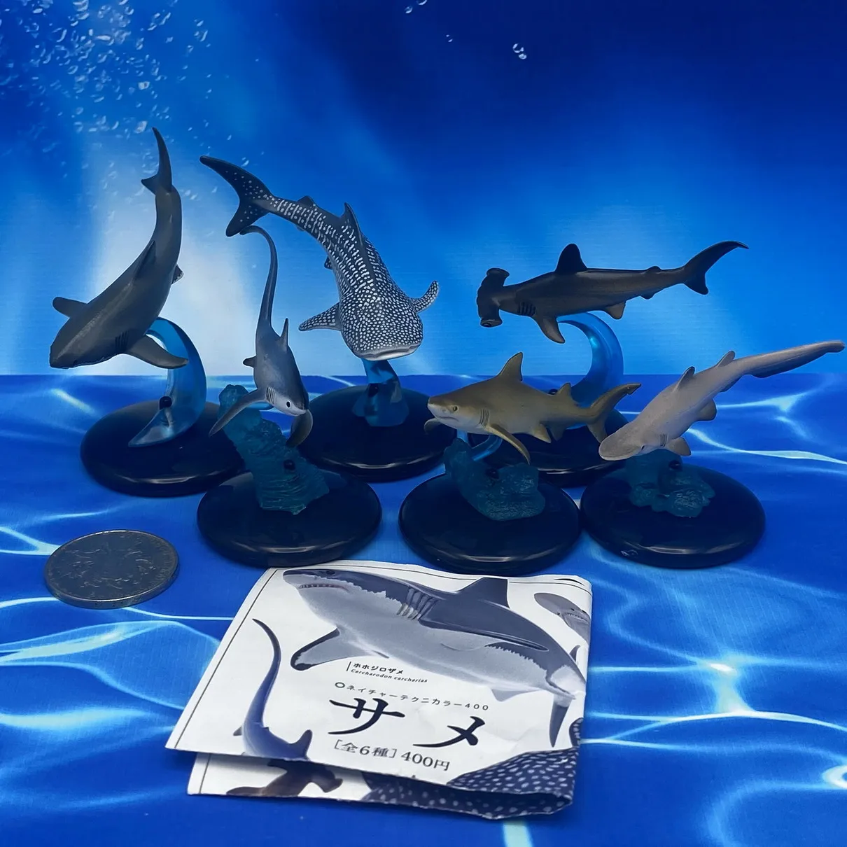 

BANDAI Genuine Marine Life Shark Ornaments Gashapon Action Figure Finished Product Marine Organism Toys