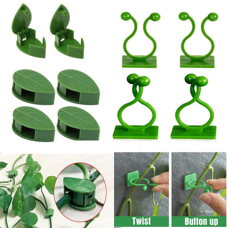 

Invisible Wall Rattan Clamp Plant Climbing Wall Clips Vine Buckle Hook Rattan Clamp Fixator Garden Self-Adhesive Plant Stent