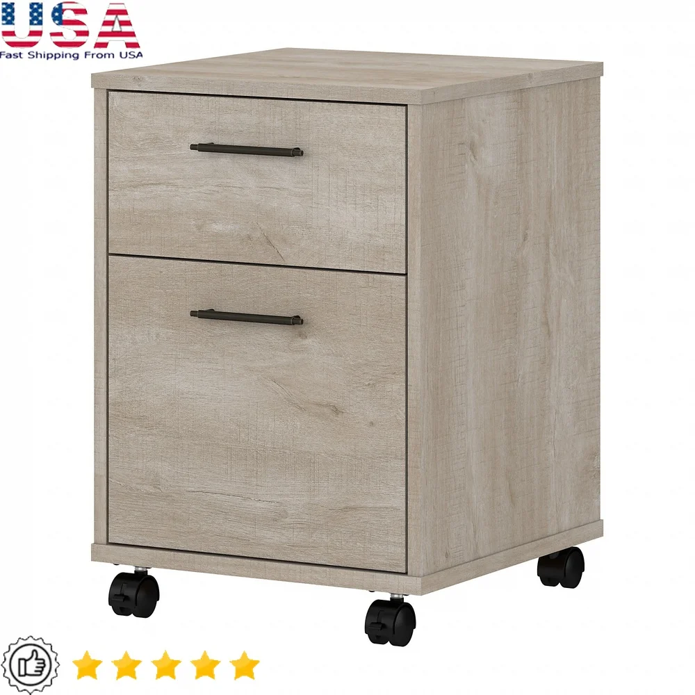 Mobile File Cabinet 2 Drawer Rolling Storage Organizer with Locking Casters Smooth Ball-Bearing Slides Office Home Use