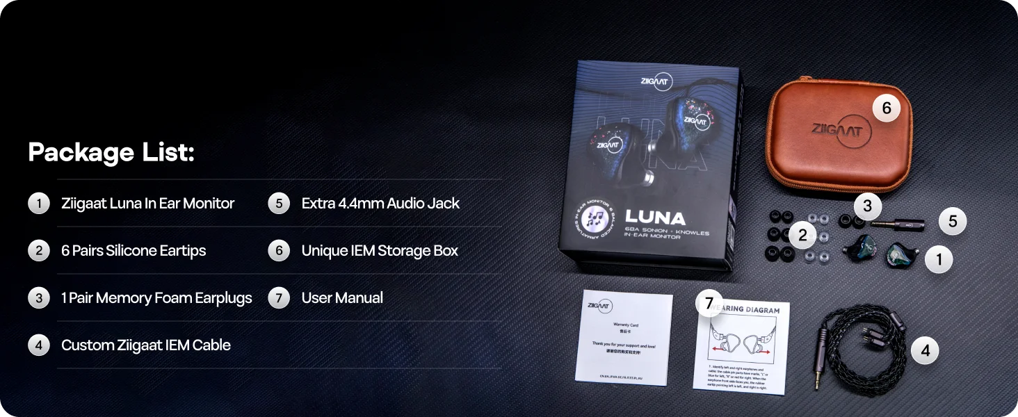 Linsoul ZiiGaat Luna 6 Balanced Armature Drivers Studio IEM Monitor Hifi-Kopfhörer mit 2-poligem austauschbarem Kabel – Detail 7