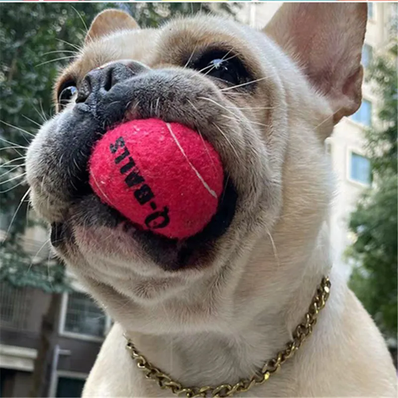 4 Teile/satz Hundespielzeug Q-MONSTER Dickwandige Naturkautschuk Squeak Kaubälle für Hunde Tennis Interaktive Hüpfbälle für das Training – Detail 9