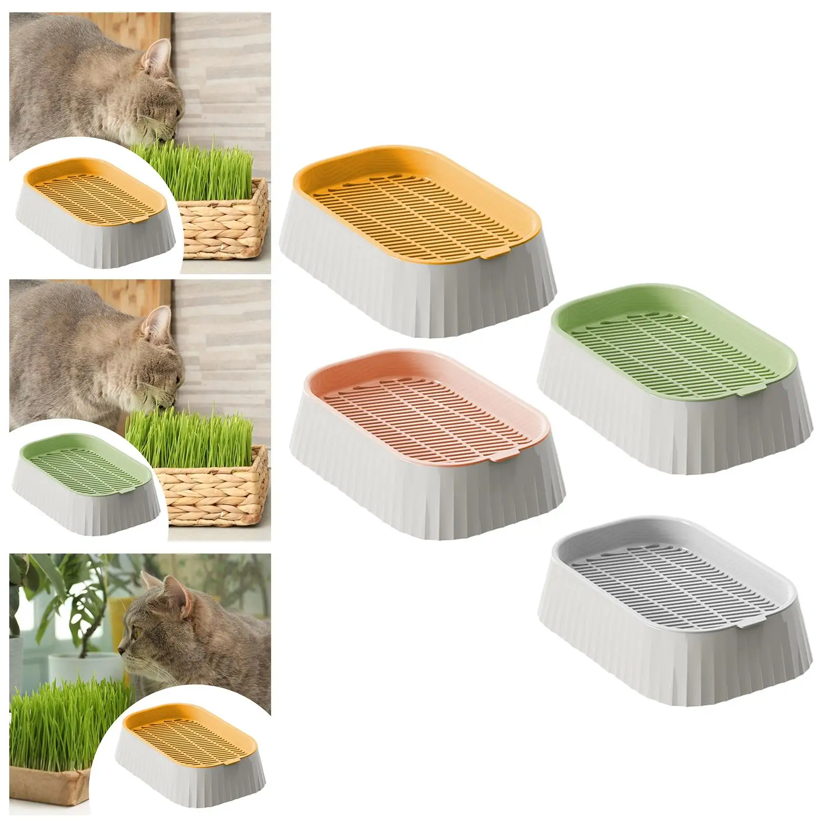 Grain Sprouter Tray Cat Grass Planter Germination Propagation Tray Catnip