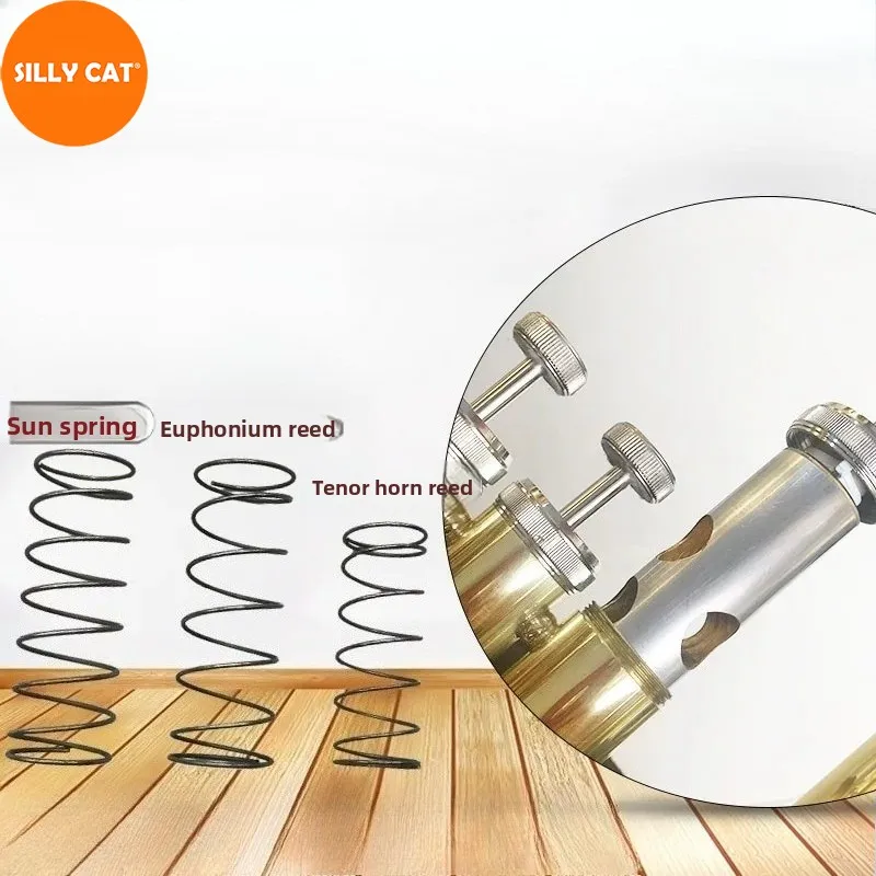 Acordeones Tenor, Alto, Euphonium, Sousaphone, Sun Horn, Cañas de Pistón, Botones de Acero Inoxidable, Resortes, Accesorios para Instrumentos de Viento de Latón