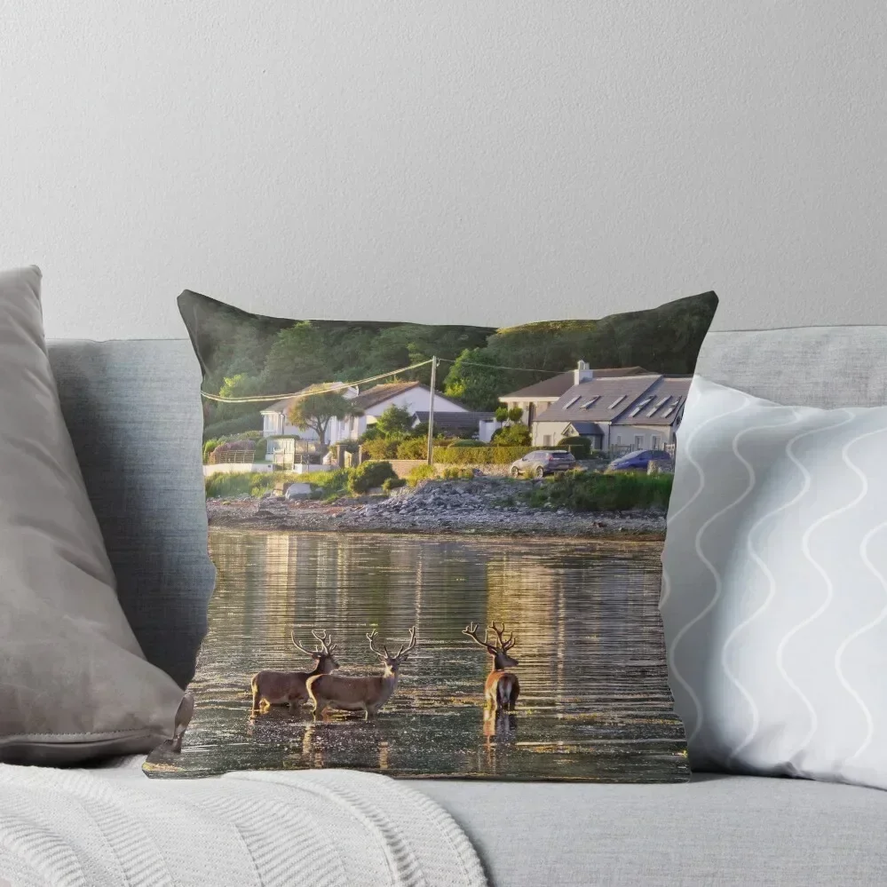 Lochranza, Isle of Arran, Scotland Throw Pillow christmas pillow case Cushion Cover pillow