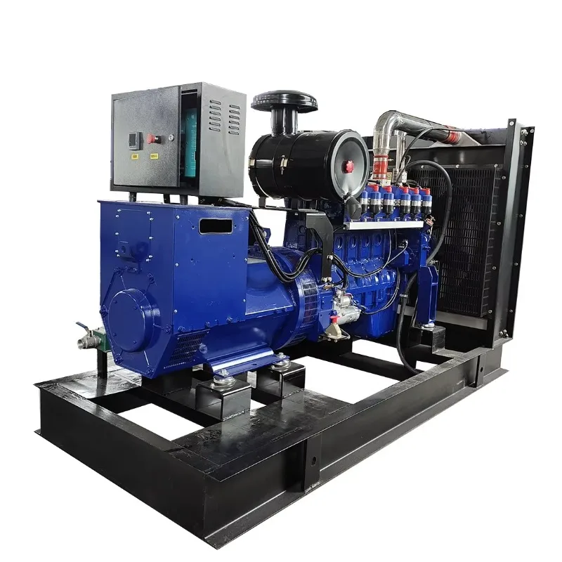 200kW Natural Gas Generator 200kW Biogas Generator 250kVA Gas Generator Price Customized