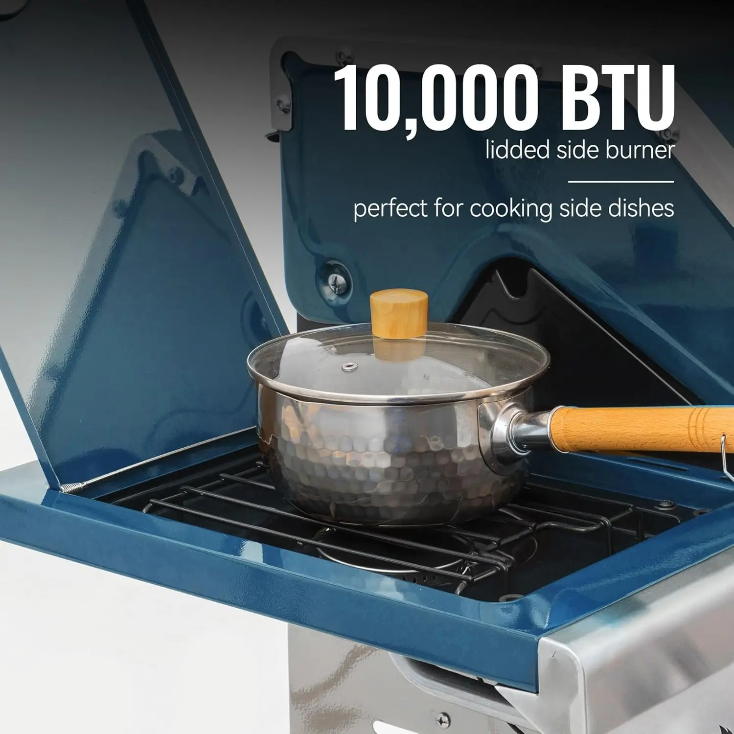 5-Burner Propane Grill with Side and Rear Burner, Cabinet-Style BBQ, 74K BTU, Blue