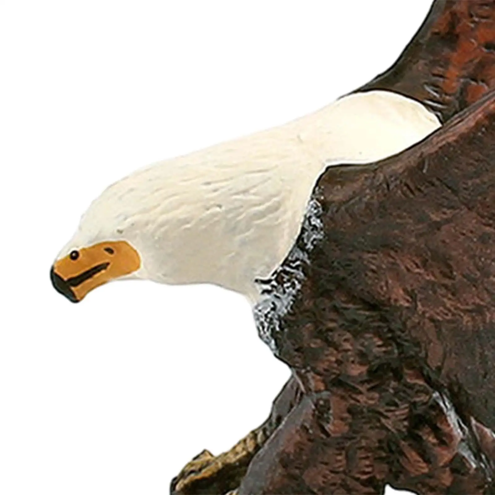 Statue de Simulation d'oiseau de la faune, figurines d'animaux en PVC, modèle éducatif à collectionner, décoration de Table, ornement pour exposition de pièce