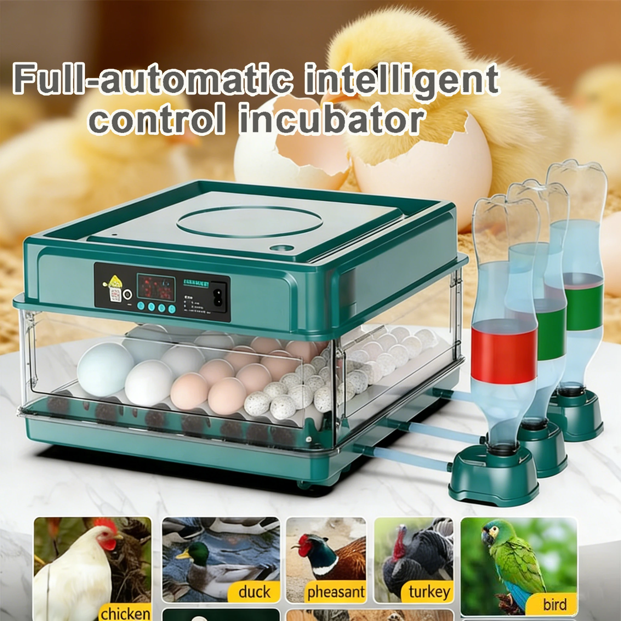 Incubateur d'œufs automatique 15-36 avec tiroir, Mini avec réapprovisionnement automatique du lit d'eau ionique et contrôle de la température