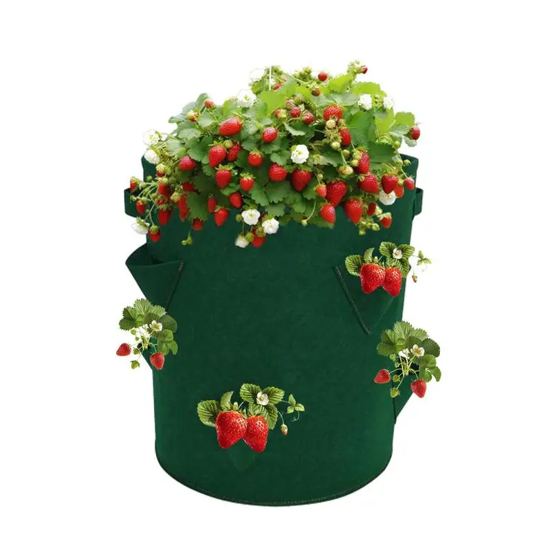 

Strawberry Bags For Growing Foldable Strawberry Growing Kit Non-woven Fabric Strawberry Pot Thickened Strawberry Plant Bag