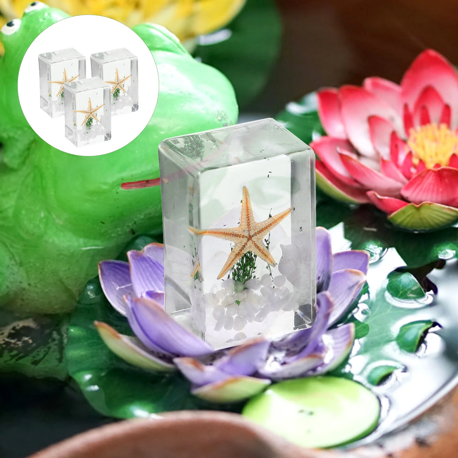 3 قطعة عينة نجمة البحر الراتنج زخرفة سطح المكتب المحيط الحيوانات الديكور ديكور المنزل مكتب الحرفية هدية