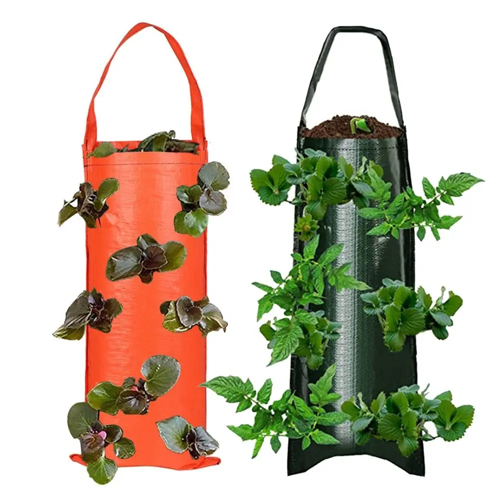 

Hanging Plant Grow Bags PE Growing Container Strawberry Planting Container 4/6/8/10 Holes Garden Decoration Planting Bags