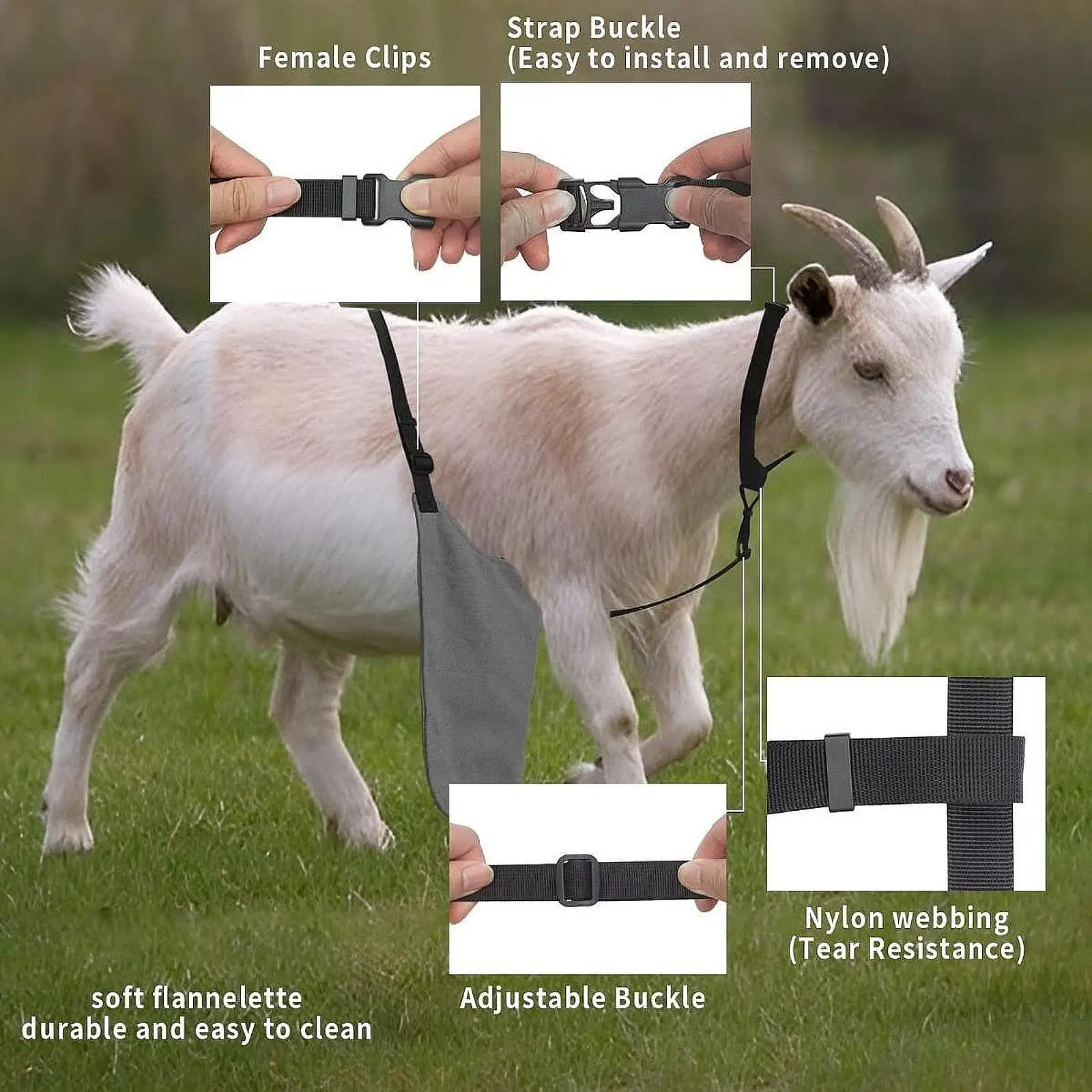 Apron Anti Breeding Breathable Sturdy Easily Use Easy to Use Practical Anti Mating Skirt Accessories Gray for Goats Sheep