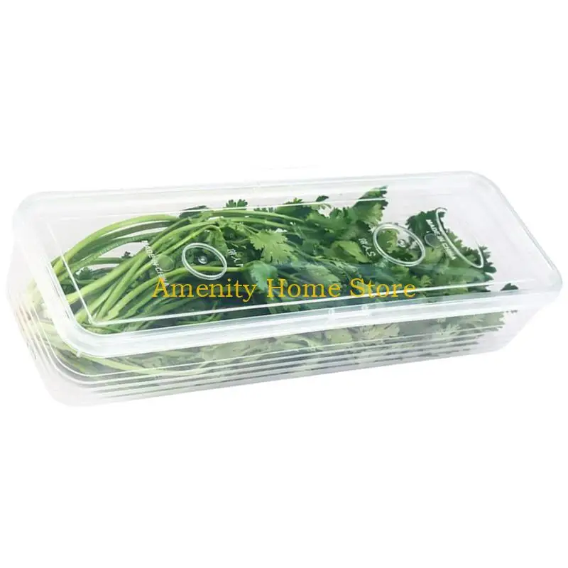 F26C Durable PP Materials Seal Food Storage Container Home Kitchens Organizers For Organizing Scallions Gingers Garlic