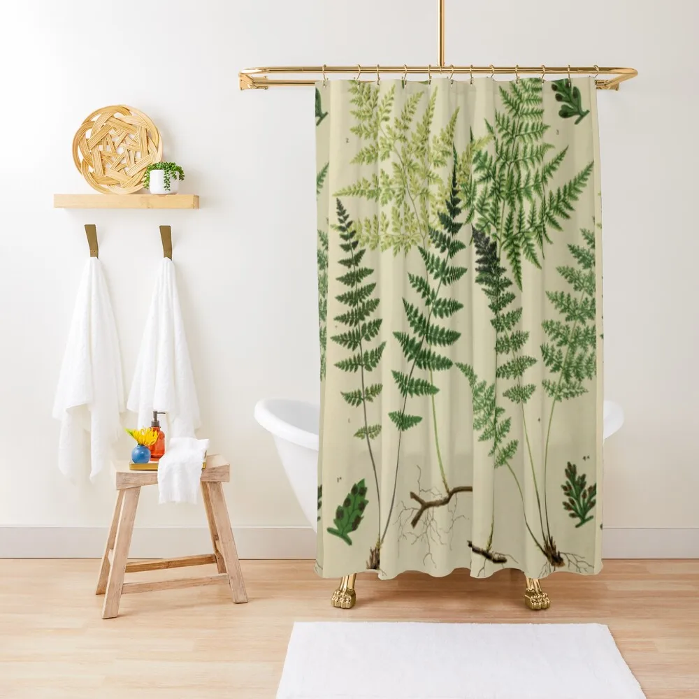 

Botanical Ferns Shower Curtain Bathroom Curtain Box Shower Curtains Bathroom