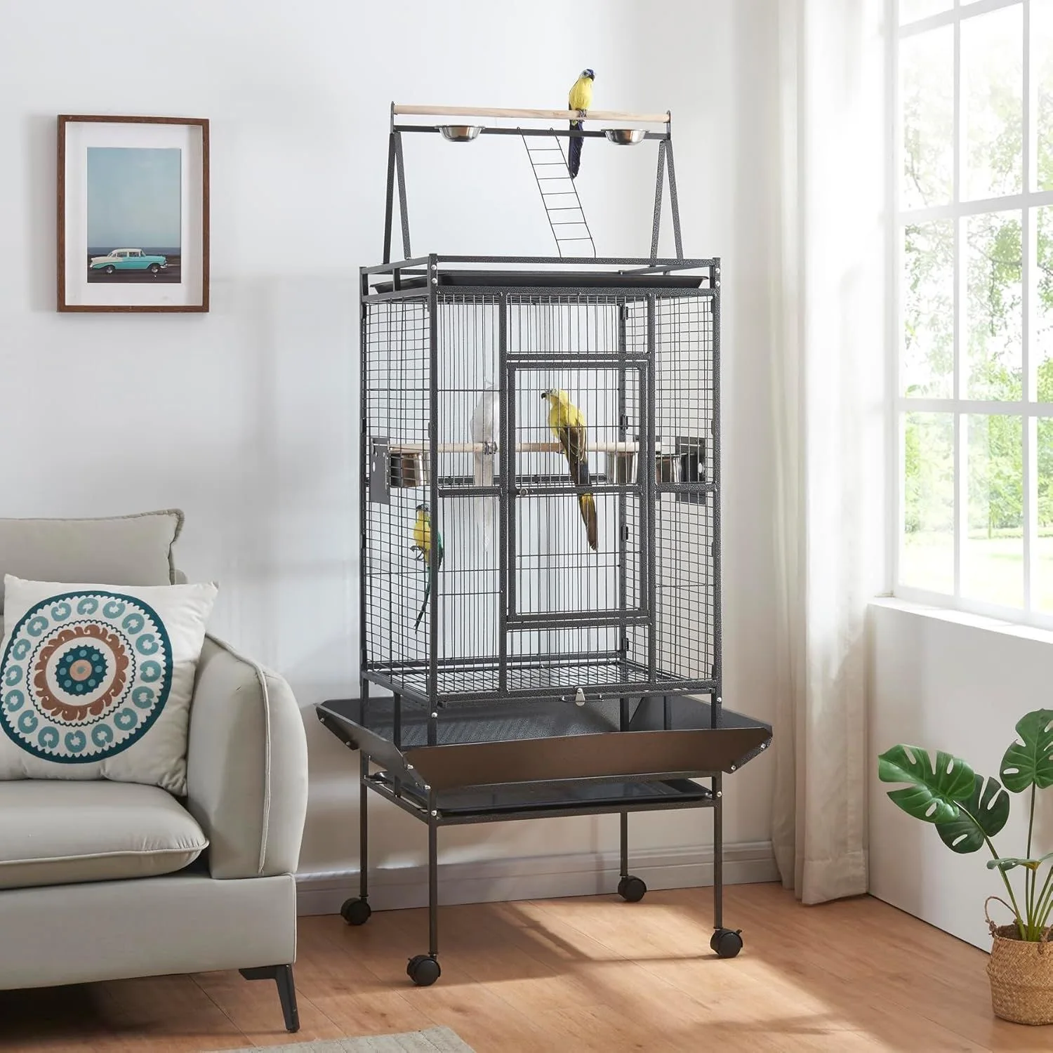 Grand Medical Hot Sale New Arrived Big Space House for Birds Cages Parrots Macaw Parrot Cage Bird for Cages