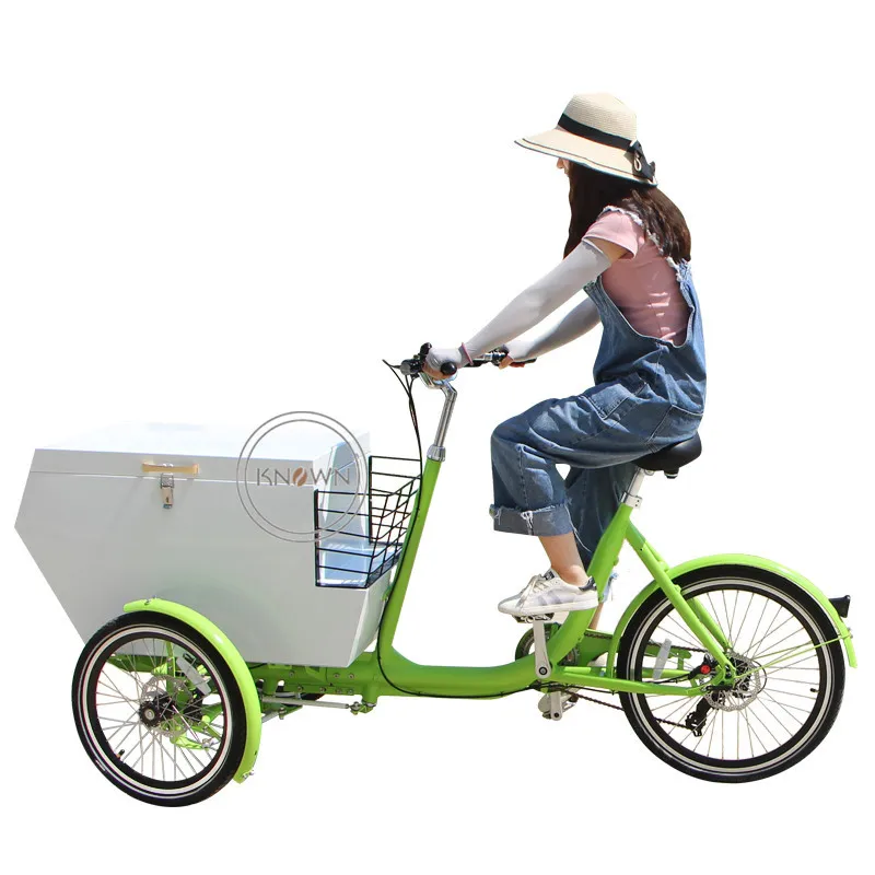 Metal Cargo Bike 3 Wheels Electric Adult Tricycles Durable Outdoor Bicycle Easy To Clean And Safe Durable Cargo Loading Trail