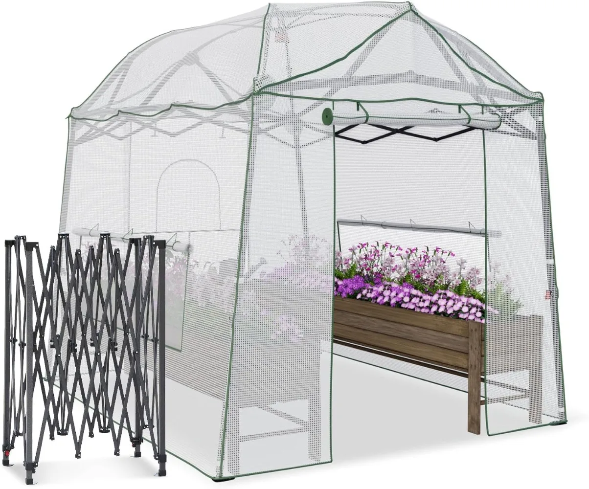 8.5 x 7 x 7 FT Walk-in Greenhouse, Portable Pop-up Greenhouse for Indoor Outdoor, Plant Garden Green House with Zippered Doors