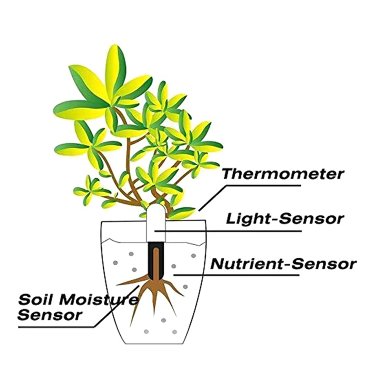 

Flower Care Monitor Garden Plant Grass Soil Water Fertility Smart Tester Flower Gardening Detector
