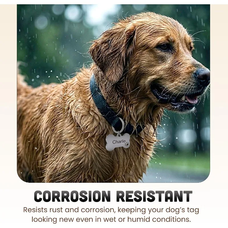 Personalisierter Haustier-ID-Anhänger mit kostenloser Gravur, Schlüsselanhänger für Katzen und Hunde, Knochen- und Pfotenform, Haustierzubehör – Detail 7