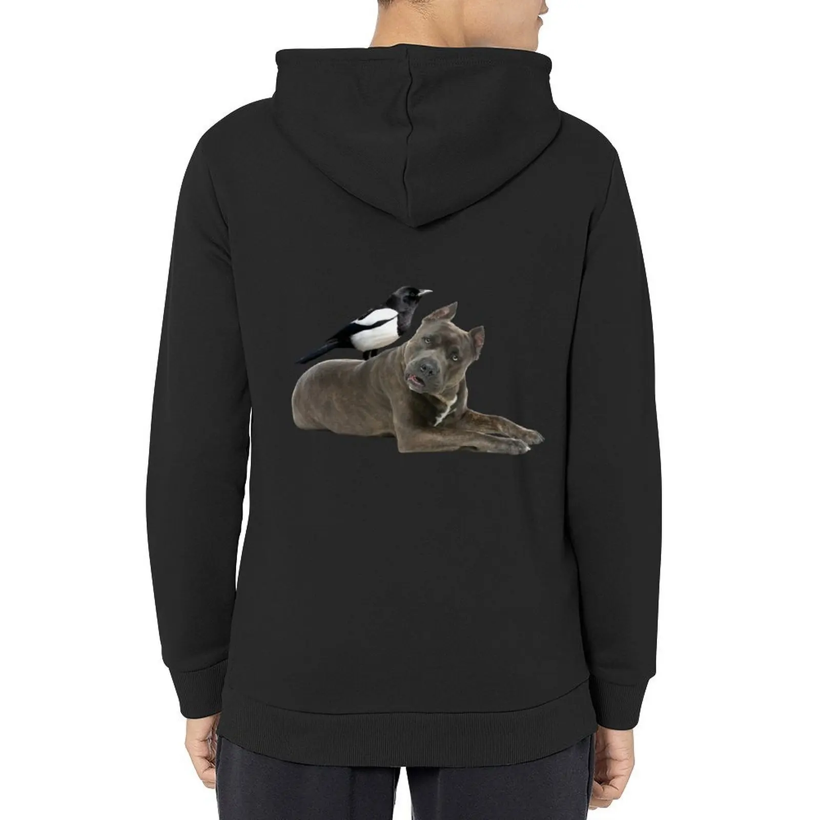 

Molly the magpie and amstaff friendship Hoodie korean style clothes blouse men's sweat-shirt male clothes tracksuit men
