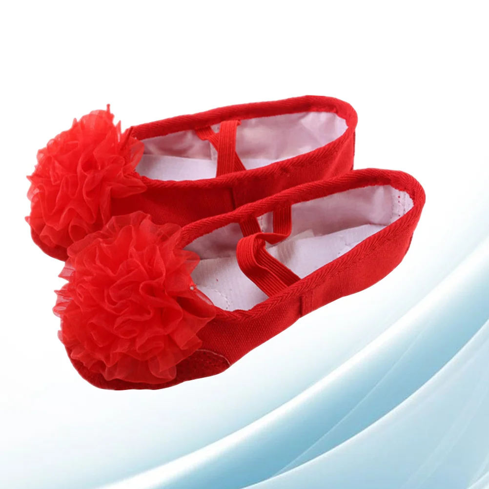 

1 пара танцевальных туфель с эластичной лентой, профессиональная противоскользящая подошва для современных бальных джазовых танцев, размер 26 балетных туфель