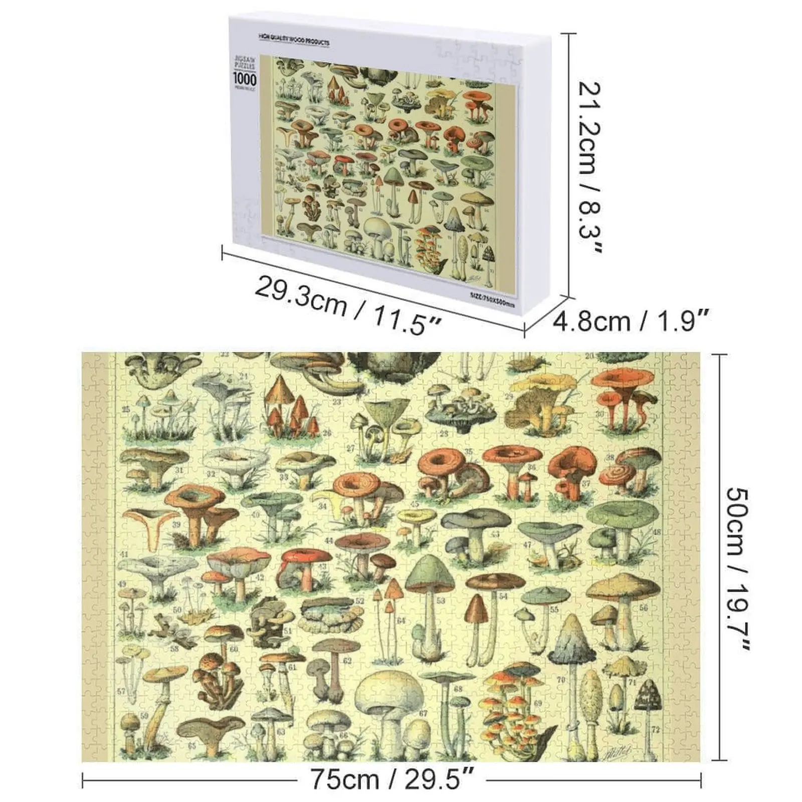 أدولف ميلوت Champignon B بازل قطع ديوراما اكسسوارات تخصيص هدية هدايا مخصصة للأطفال لغز