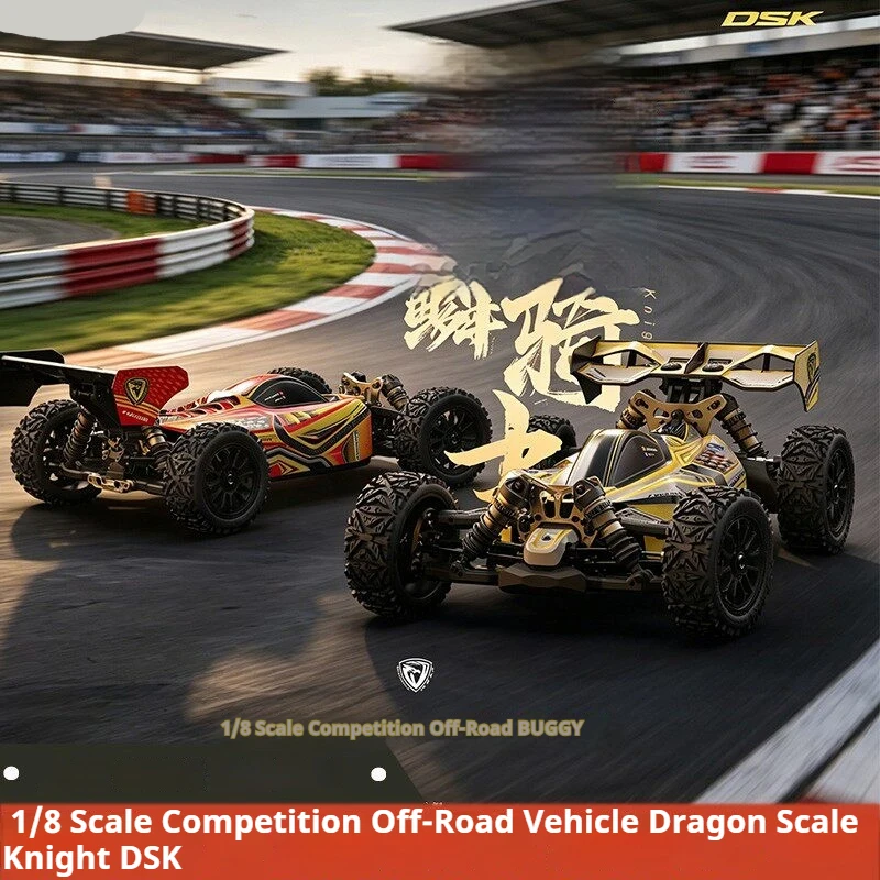 DSK 1/8 Dragon Scale Knight RC Car Electric RC Buggy 4WD Brushless TX90 High Speed Off Road Car Model Adult Toys Gift