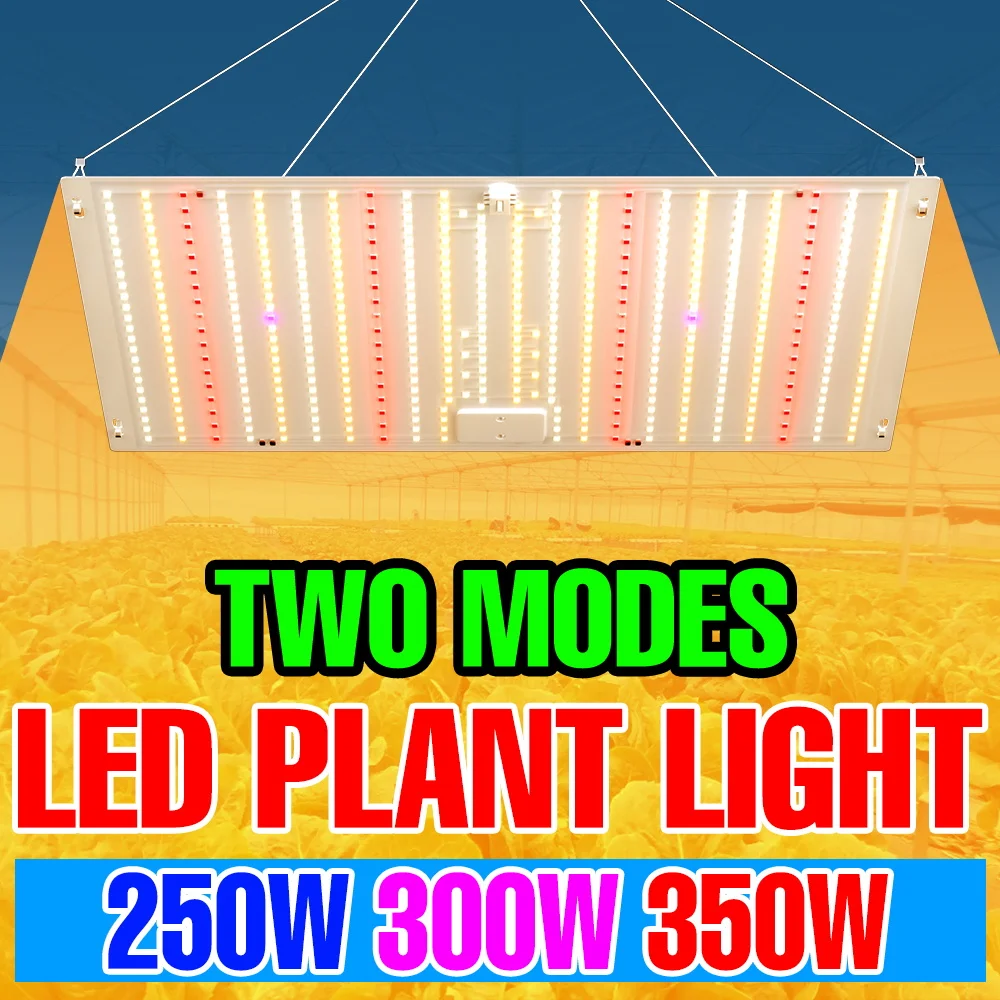 

350W LED Full Spectrum Grow Light 220V Quantum Board Plant Cultivation Lamp Greenhouse Tent Vegs Succulent Potted Fill Lighting