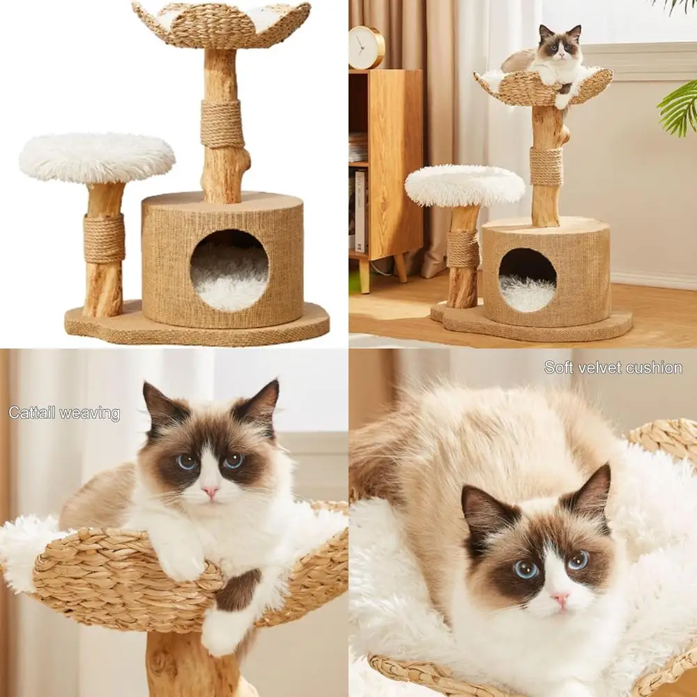 

Wooden Cat Tree with Hammock and Sisal Scratch Post - 29.1 Inch Tall Climbing Tower for Cats, Entertainment Playground