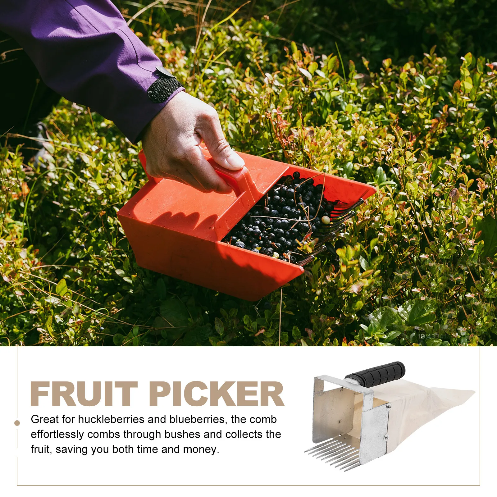 Berry Picker Portable Blueberr - Gardening Tools Rake ulasan dan harga