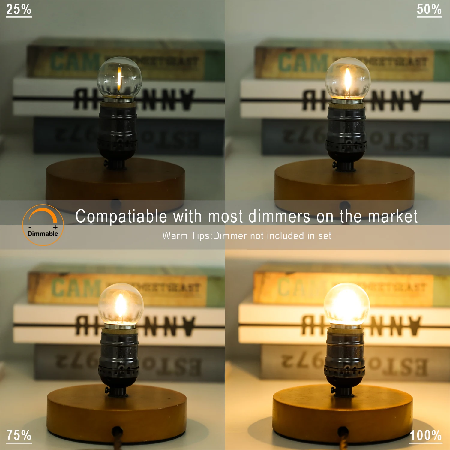 Imagem -05 - Vintage Led Edison Lâmpada para Luzes de Corda G40 1w Regulável Baixa Potência E27 220v 2700k Igual 11w Vintage 15 Pcs