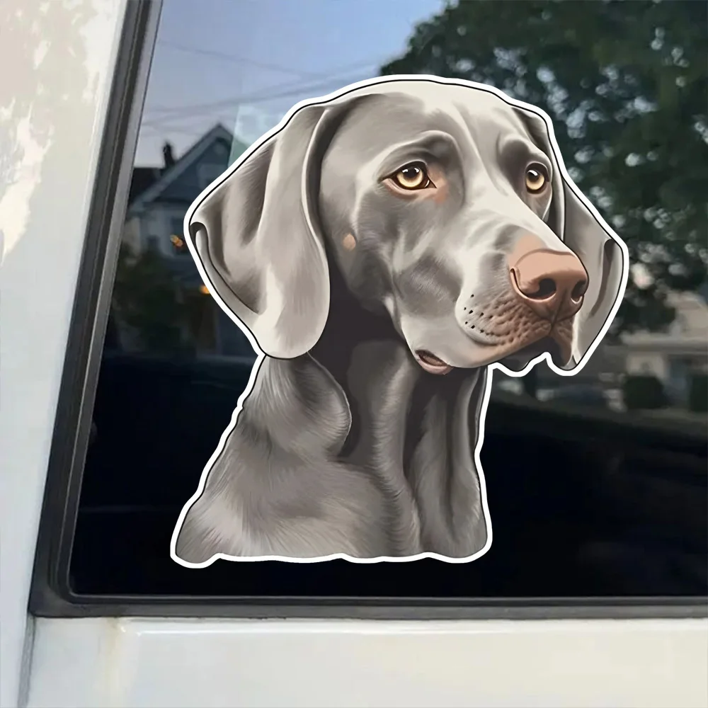 

12x13 см, декоративные автомобильные наклейки Weimaraner, клейкая наклейка для грузовиков, мотоциклов, ноутбуков - для использования в помещении и на открытом воздухе