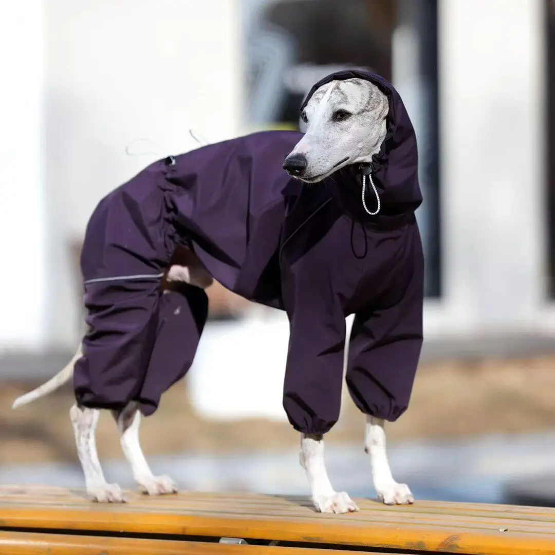 

Spring Purple Windproof Zipper Jacket for Italian Greyhound High Neck Hoodie Collar Waist Adjustable Raincoat for Whippet Dogs