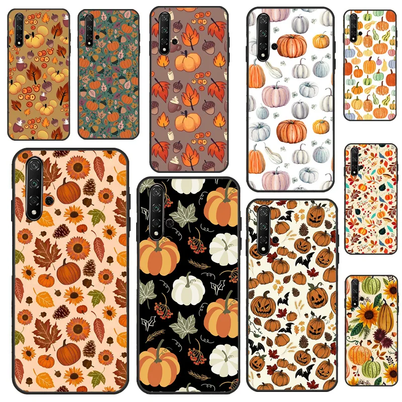 Autumn Pumpkins For… - image