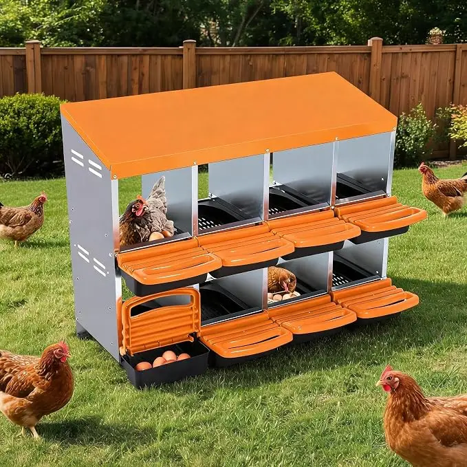 6-10 scomparti, nido per galline, nido mobile per galline, nido in acciaio zincato con coperchio, facile raccolta delle uova.