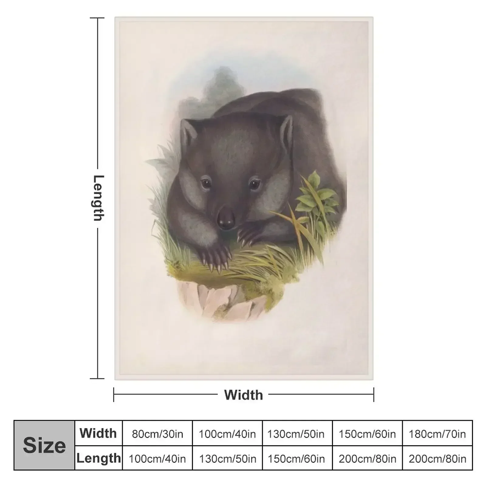 Phascolomy's Wombat (Common Wombat) by Henry Richter Throw Blanket couch cozy soft plush fuzzy picnic outdoor blanket