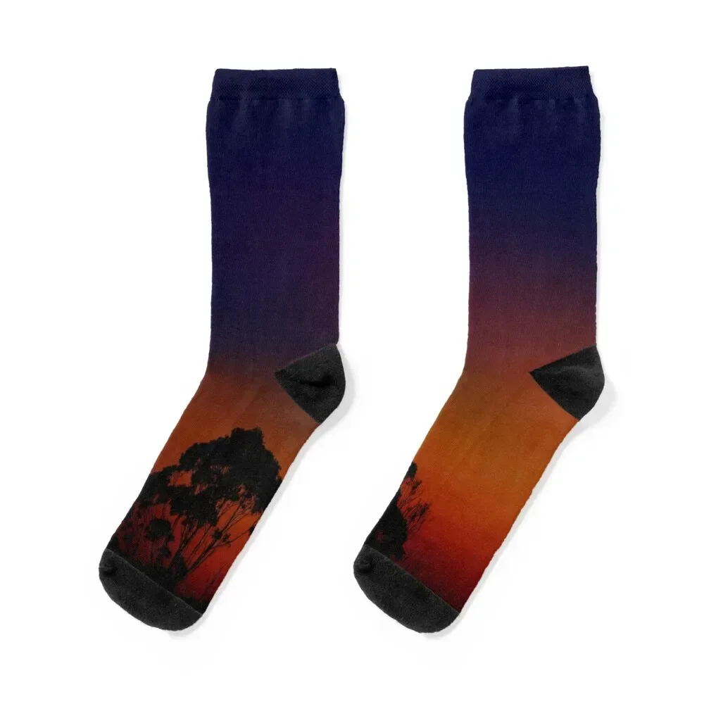 Sunrise over Corner Inlet Socks compression short Socks Women Men's