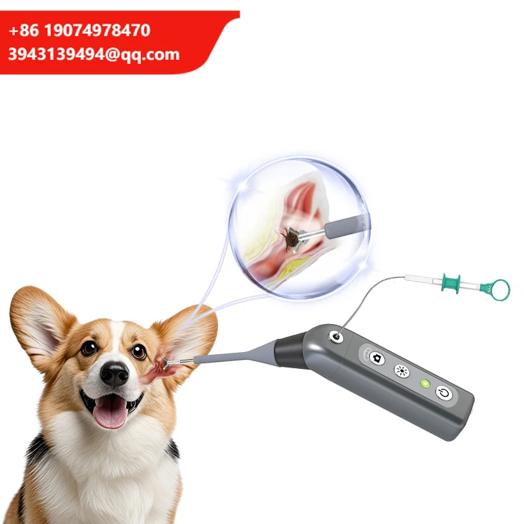 Portable USB Endoscope Camera New Model HD Otoscope For Dog ENT Diagnosis Handheld & Windows Laptop Compatible