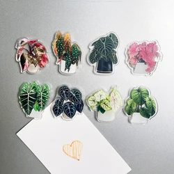 4pcs Potted Plant Fridge Magnet - Double acrylic potted plant kitchen and office decorative magnet Holiday souvenir