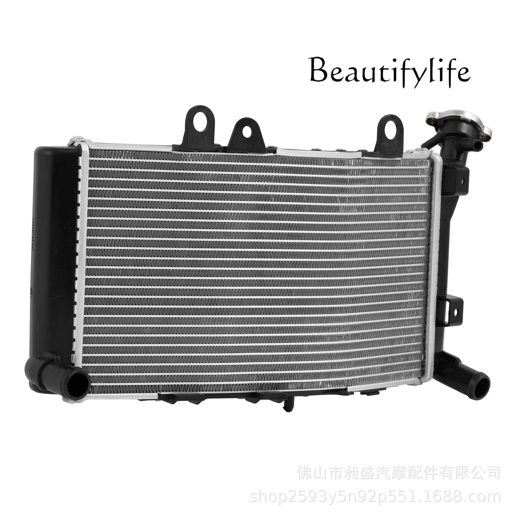 LS for F750GS/F850GS water tank radiator assembly modification motorcycle 2019-2024