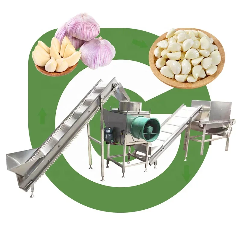 Electric pneumatic chain type small dry garlic sorting and peeling machine process peeling machine price manufacturing