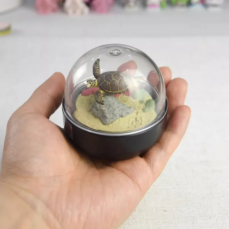 Oryginalna Kitan Snow Globe Crystal Ball Sea Turtle Marine Animal Penguin Garden Eel Figure Gashapon Kawaii Capsule Toys Model