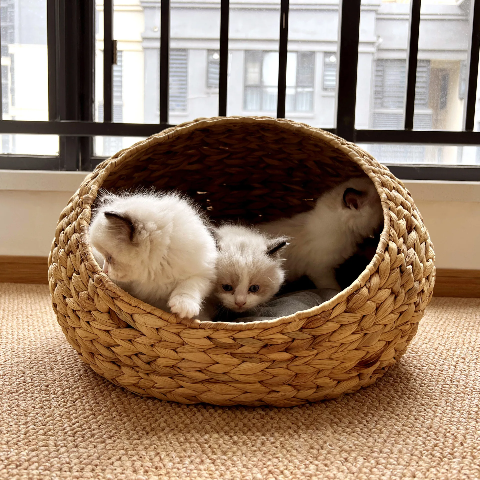 Popular water hyacinth semi-closed pet nest rattan cat litter dog litter wear-resistant washable straw cat litter