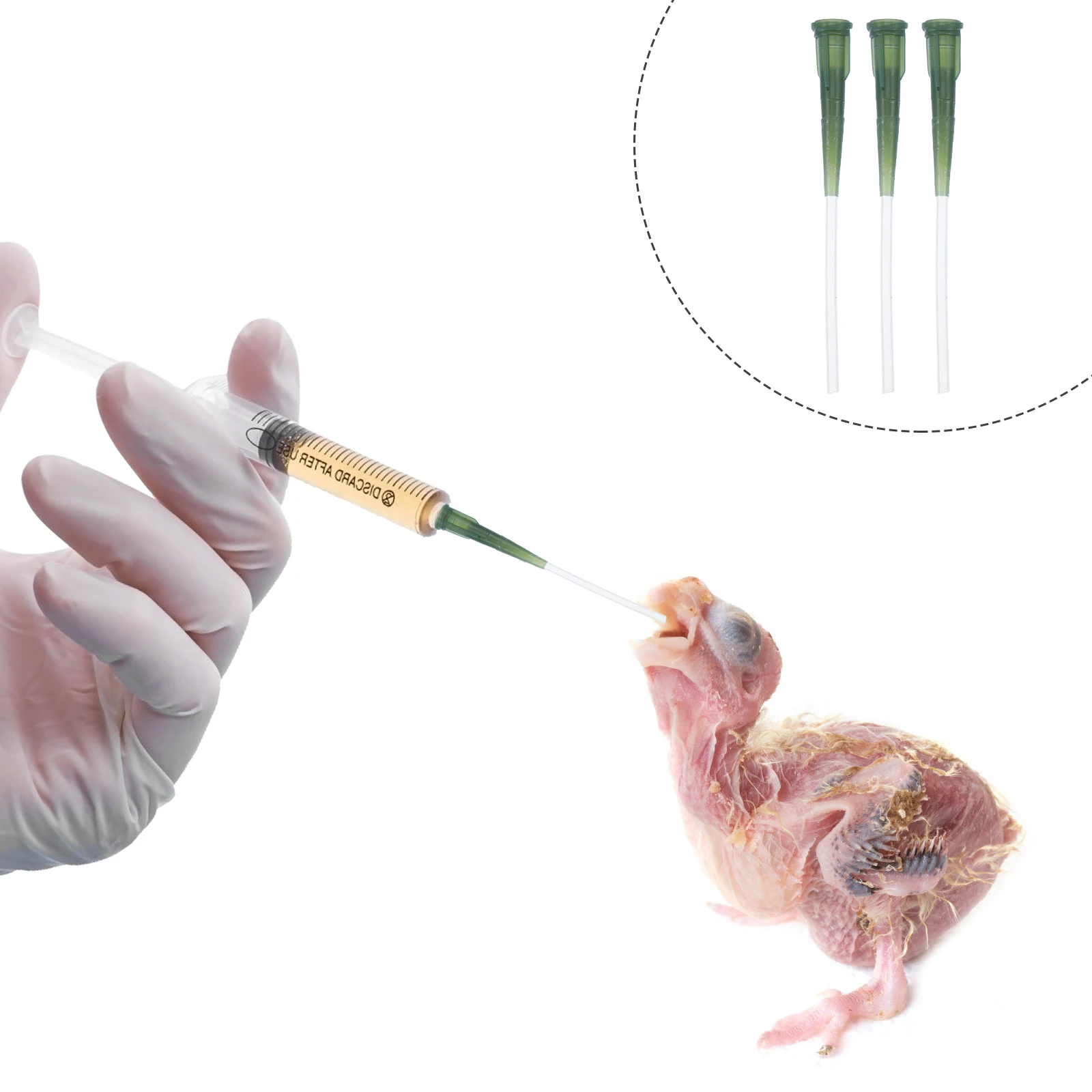 

3pcs Feeding Hose for Baby Birds Soft Food Grade Easy Clean Safe Pet Supplies Travel Tools Bird Feeding Parts